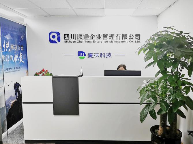 策划;会计,审计及税务服务;社会经济咨询;知识产权服务